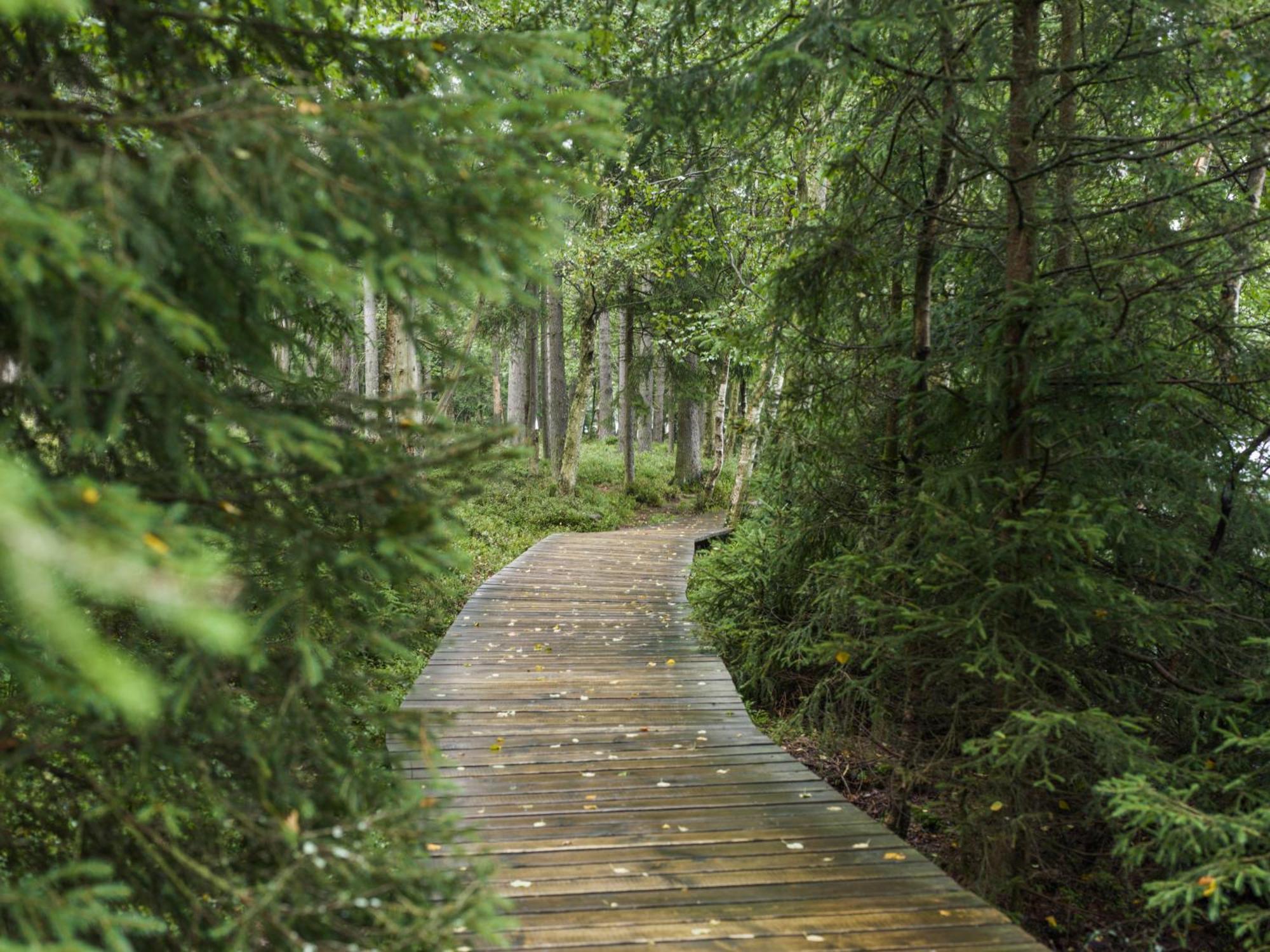 Falkensteiner Spa Resort มาเรียอานซเกลาซนี ภายนอก รูปภาพ The boardwalk at the end of the trail